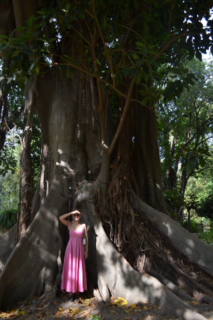 Girl in a pink maxi dress standing in front of a big tree